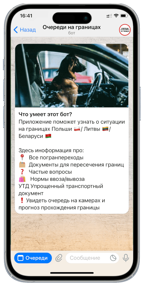 Веб-приложение «Очереди на границах»